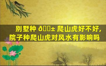 别墅种 🐱 爬山虎好不好,院子种爬山虎对风水有影响吗